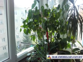 apartament-cu-2-camere-confort-2-etaj-4-de-vanzare-in-campulung-muscel-arges-8