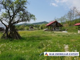 teren-intravilan-5000-mp-de-vanzare-in-bradulet-galesu-arges