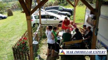 teren-intravilan-5000-mp-de-vanzare-in-bradulet-galesu-arges-2
