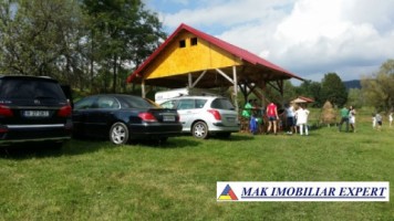 teren-intravilan-5000-mp-de-vanzare-in-bradulet-galesu-arges-1