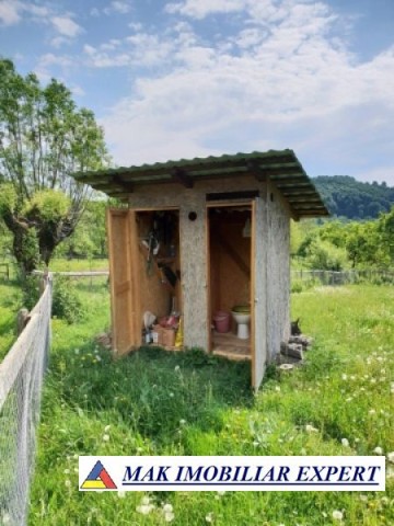 teren-intravilan-5000-mp-de-vanzare-in-bradulet-galesu-arges-4