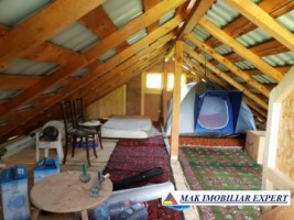 teren-intravilan-5000-mp-de-vanzare-in-bradulet-galesu-arges-3