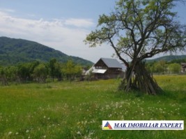 teren-intravilan-5000-mp-de-vanzare-in-bradulet-galesu-arges-12