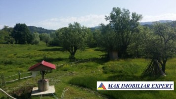teren-intravilan-5000-mp-de-vanzare-in-bradulet-galesu-arges-6