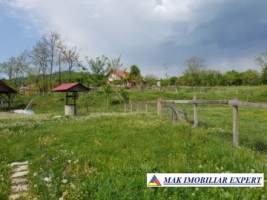 teren-intravilan-5000-mp-de-vanzare-in-bradulet-galesu-arges-7