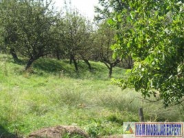 vand-teren-intravilan-344-ha-cretisoara-campulung-muscel-arges