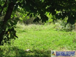 vand-teren-intravilan-344-ha-cretisoara-campulung-muscel-arges-1
