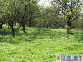 vand-teren-intravilan-344-ha-cretisoara-campulung-muscel-arges-2