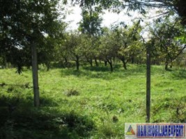 vand-teren-intravilan-344-ha-cretisoara-campulung-muscel-arges-3