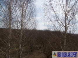 vand-teren-intravilan-344-ha-cretisoara-campulung-muscel-arges-4