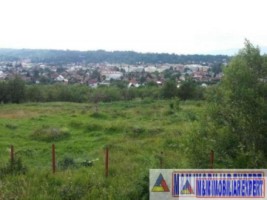 vand-teren-intravilan-344-ha-cretisoara-campulung-muscel-arges-5