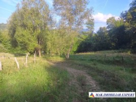 vand-teren-942-mp-extravilan-bradetu-arges-3