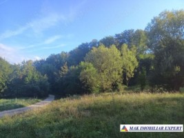 vand-teren-942-mp-extravilan-bradetu-arges-4