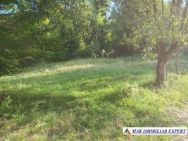 vand-teren-942-mp-extravilan-bradetu-arges-1