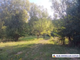 vand-teren-942-mp-extravilan-bradetu-arges-2