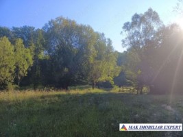 vand-teren-942-mp-extravilan-bradetu-arges