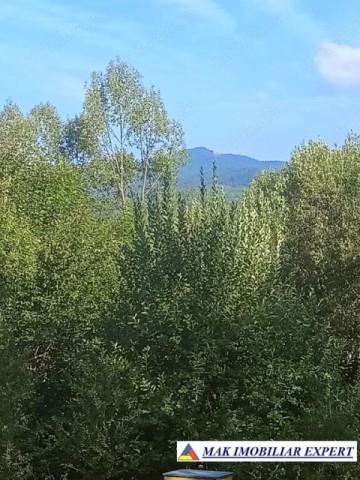 vand-teren-942-mp-extravilan-bradetu-arges-6