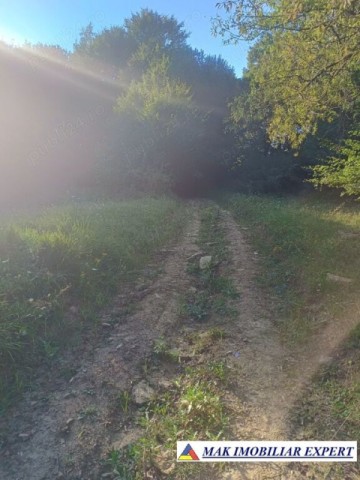 vand-teren-942-mp-extravilan-bradetu-arges-5