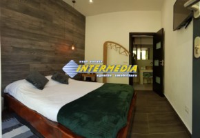 casa-de-lux-stil-mediteranean-teren-1820-mp-mobilata-si-utilata-alba-iulia-zona-cetate-regim-hotelier-sau-pensiune-28