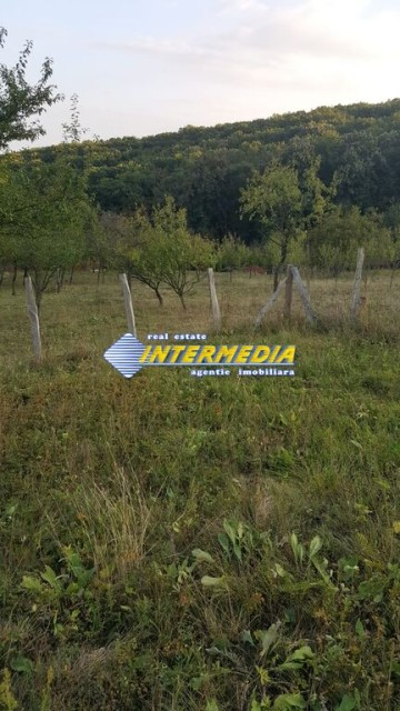 teren-intravilan-700-mp-zona-schit-vii-4