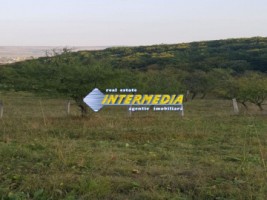 teren-intravilan-700-mp-zona-schit-vii