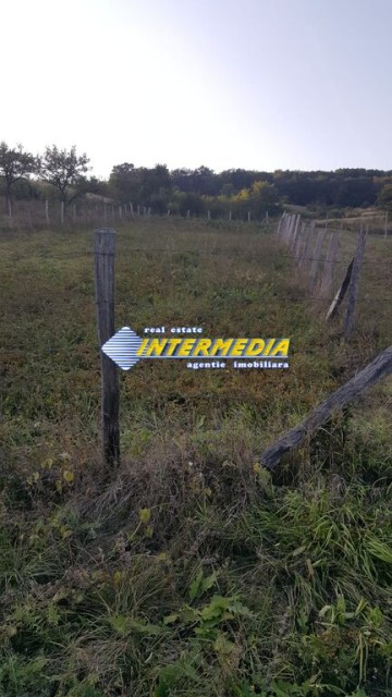 teren-intravilan-700-mp-zona-schit-vii-5
