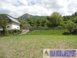 teren-intravilan-1500-mp-de-vanzare-in-dragoslavele-arges-1