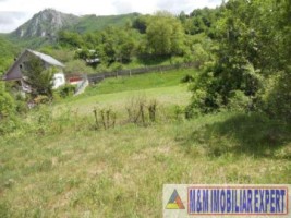 teren-intravilan-1500-mp-de-vanzare-in-dragoslavele-arges-2