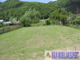 teren-intravilan-1500-mp-de-vanzare-in-dragoslavele-arges-6