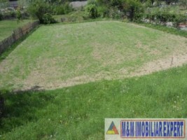 teren-intravilan-1500-mp-de-vanzare-in-dragoslavele-arges-7