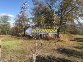 teren-intravilan-de-vanzare-700-mp-in-zona-cetate-alba-iulia-1
