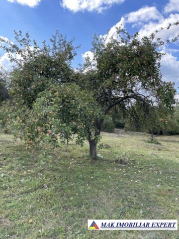 teren-de-35-ha-intraextravilan-de-vanzare-in-cetateni-arges-11