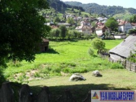 teren-intravilan-2088-mp-de-vanzare-rucar-arges