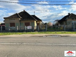 casa-in-petin-cu-teren-14-arii-60000-euro-id-22967