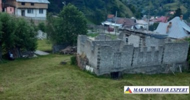 teren-4000-mp-cu-parau-si-constructie-de-vanzare-in-rucar-arges-4