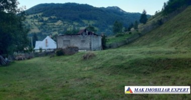 teren-4000-mp-cu-parau-si-constructie-de-vanzare-in-rucar-arges-3