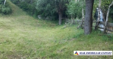 teren-4000-mp-cu-parau-si-constructie-de-vanzare-in-rucar-arges-1