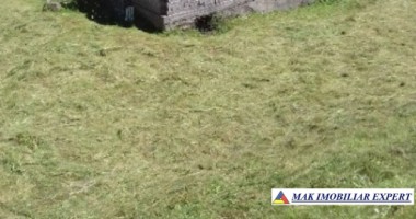 teren-4000-mp-cu-parau-si-constructie-de-vanzare-in-rucar-arges-2