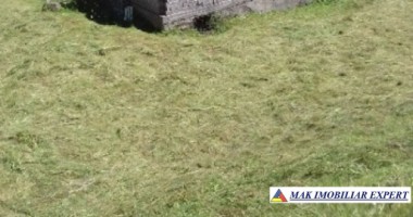 teren-4000-mp-cu-parau-si-constructie-de-vanzare-in-rucar-arges-6