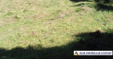 teren-4000-mp-cu-parau-si-constructie-de-vanzare-in-rucar-arges-7