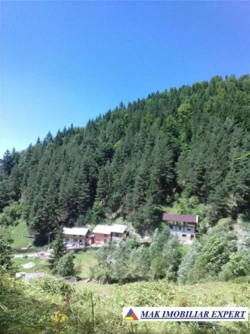 teren-4000-mp-cu-parau-si-constructie-de-vanzare-in-rucar-arges-5