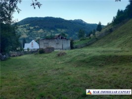 teren-4000-mp-cu-parau-si-constructie-de-vanzare-in-rucar-arges-9