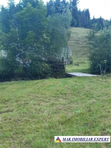 teren-4000-mp-cu-parau-si-constructie-de-vanzare-in-rucar-arges-12