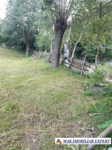 teren-4000-mp-cu-parau-si-constructie-de-vanzare-in-rucar-arges-14