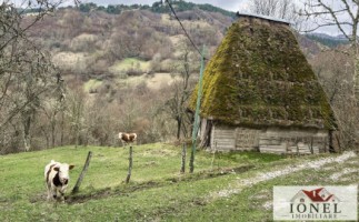casa-de-vanzare-in-muntii-apuseni-cu-17596-mp-teren
