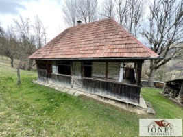 casa-de-vanzare-in-muntii-apuseni-cu-17596-mp-teren-2
