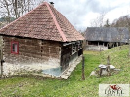 casa-de-vanzare-in-muntii-apuseni-cu-17596-mp-teren-3