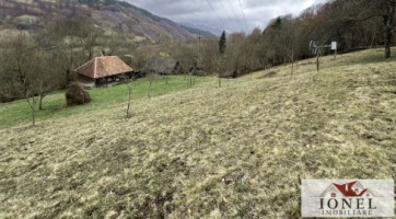 casa-de-vanzare-in-muntii-apuseni-cu-17596-mp-teren-1