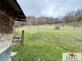 casa-de-vanzare-in-muntii-apuseni-cu-17596-mp-teren-9