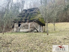casa-de-vanzare-in-muntii-apuseni-cu-17596-mp-teren-7